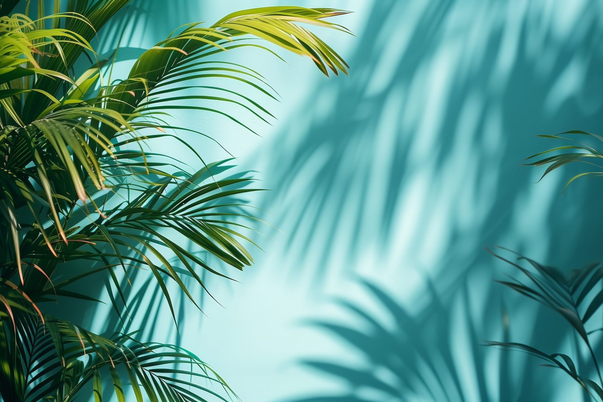 image of palm branches against teal wall.